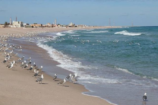 Quels sont les circuits et les destinations à découvrir lors d'un séjour en camping club à Argelès-sur-Mer ?